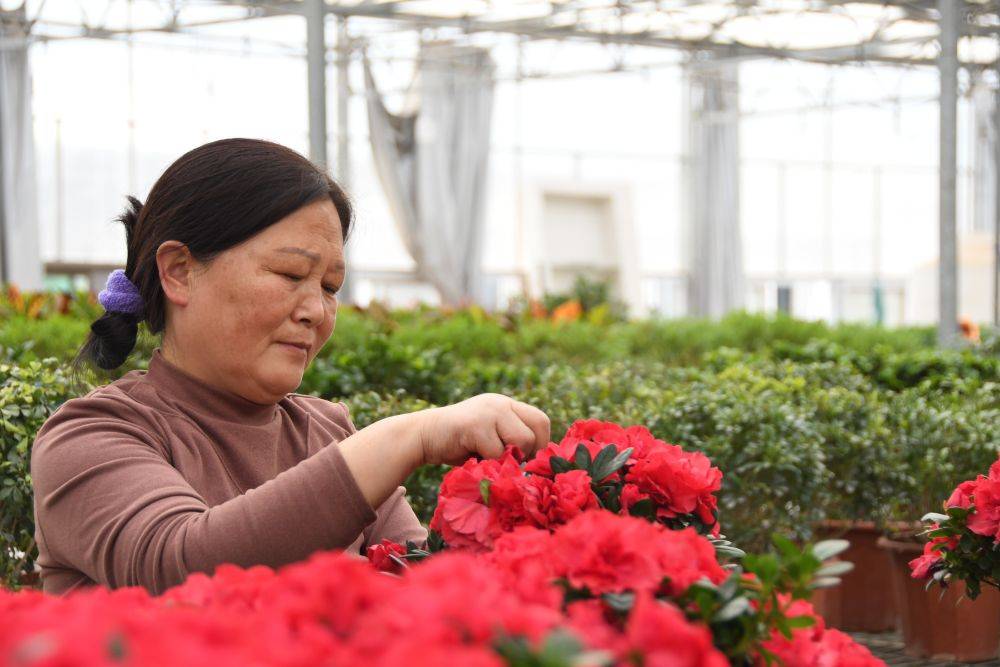新华全媒+|农业经纪人、市场分析员、植物造型师……秦岭村庄有了这些新职业